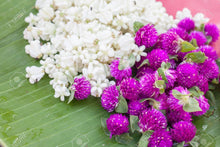 Load image into Gallery viewer, Natural Soy Wax Jar Candles