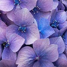 Load image into Gallery viewer, Natural Soy Wax Jar Candles